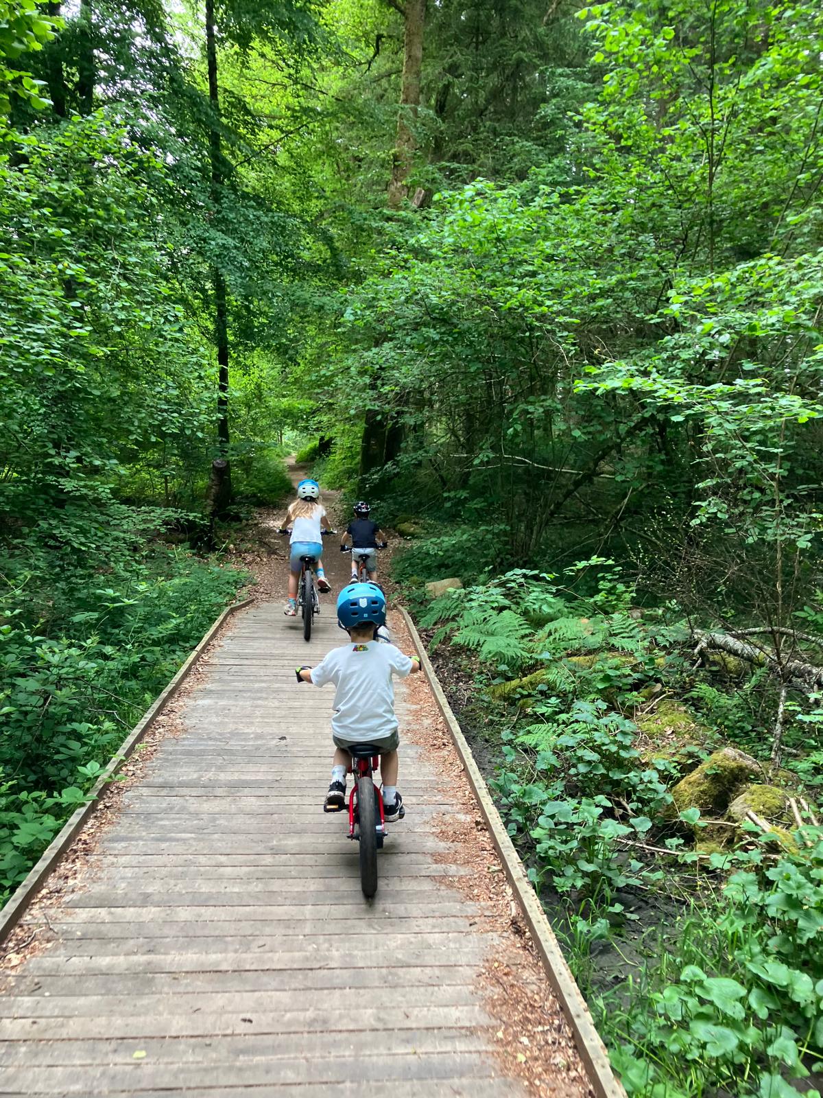 Stage dans le Morvan : deux jours au vert pour le VCT